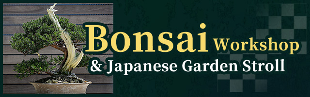 Bonsai Experience & Japanese Garden Stroll