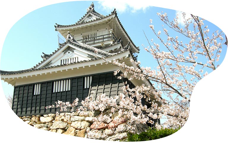 Hamamatsu Castle and Sakura